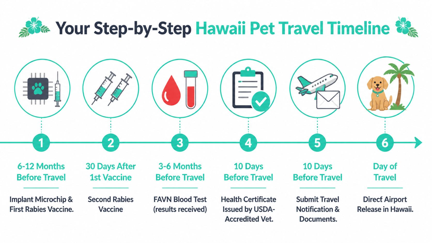 A step-by-step timeline graphic illustrating the requirements for pet travel to Hawaii including vaccines and tests.