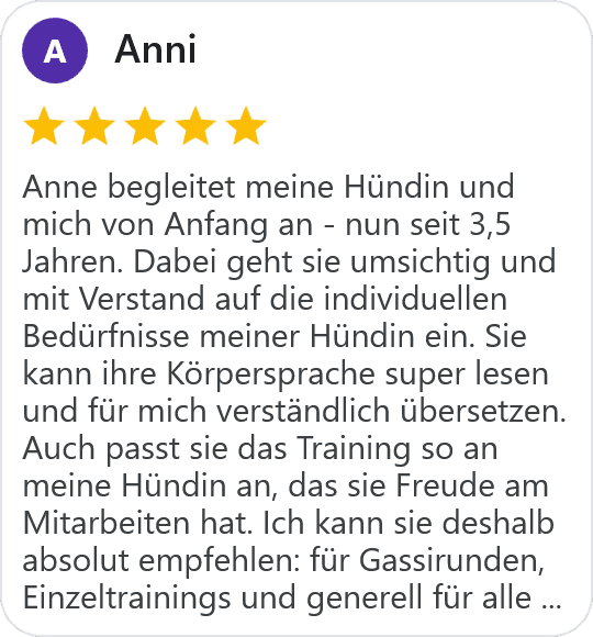 five star google review from Anni