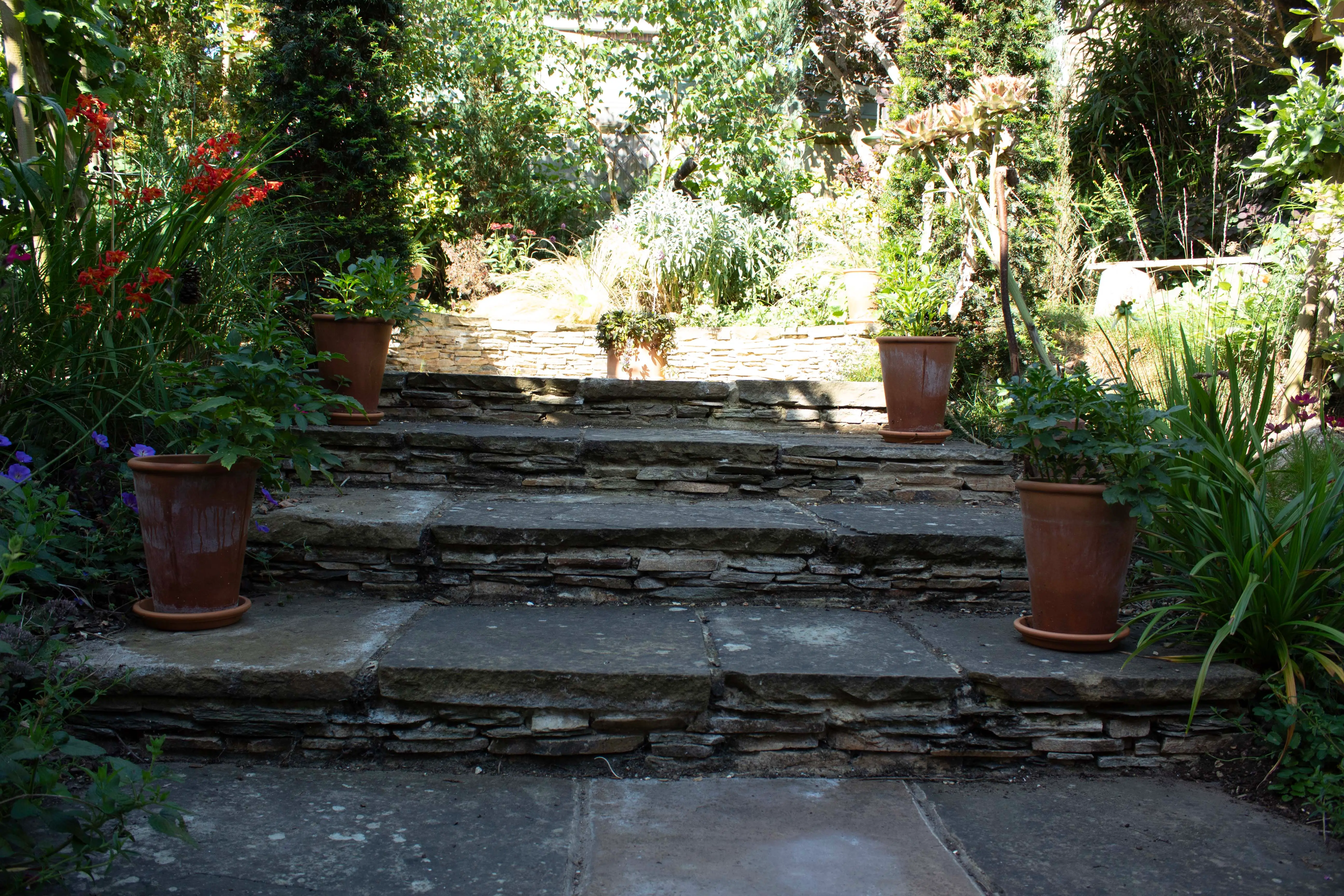 A stone staircase surrounded by greenery, leading upward, with sunlight filtering through the trees.