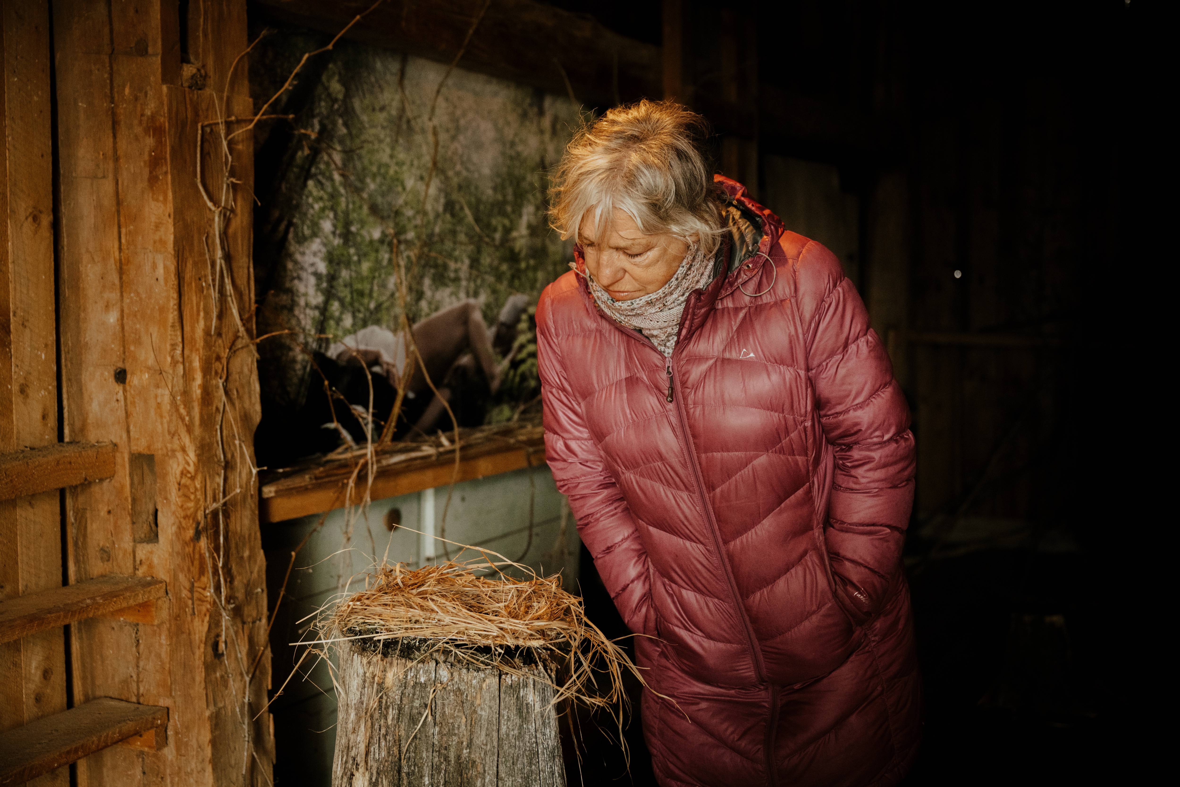 Women looking at art installation (nest on a log)