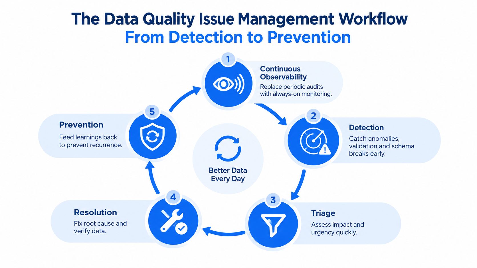 A cyclical diagram illustrating the five-step data quality issue management process from observability to prevention.