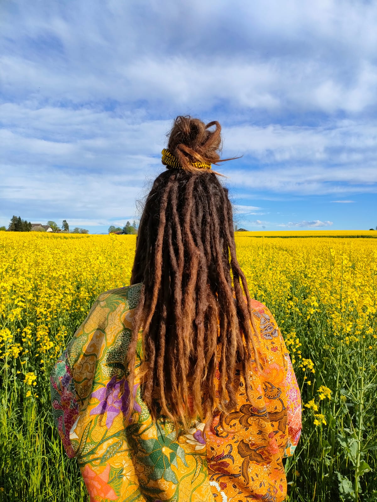voyage en train, en soi, dépression, lire, poésie, sensibilité, Cynthia Luthi, fleurs, champs