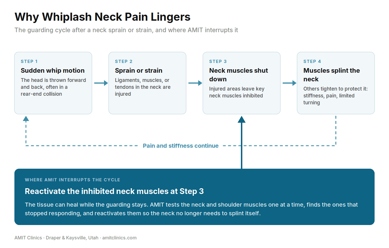 Diagram of the whiplash guarding cycle: sudden whip motion, sprain or strain, inhibited neck muscles, and splinting muscles causing stiffness, with AMIT reactivating the inhibited muscles at step 3