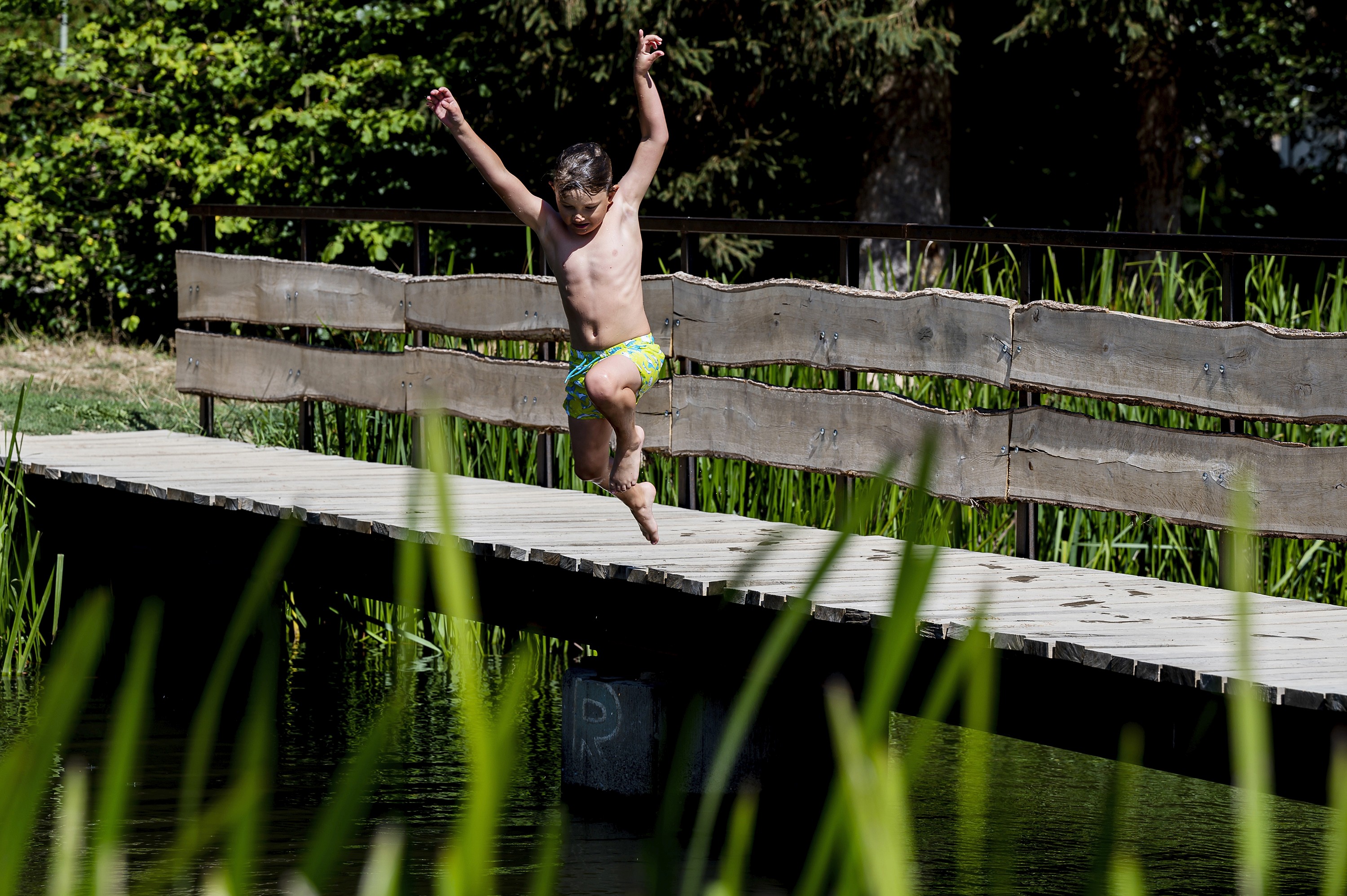 Kind springt vom Steeg in den Badesee