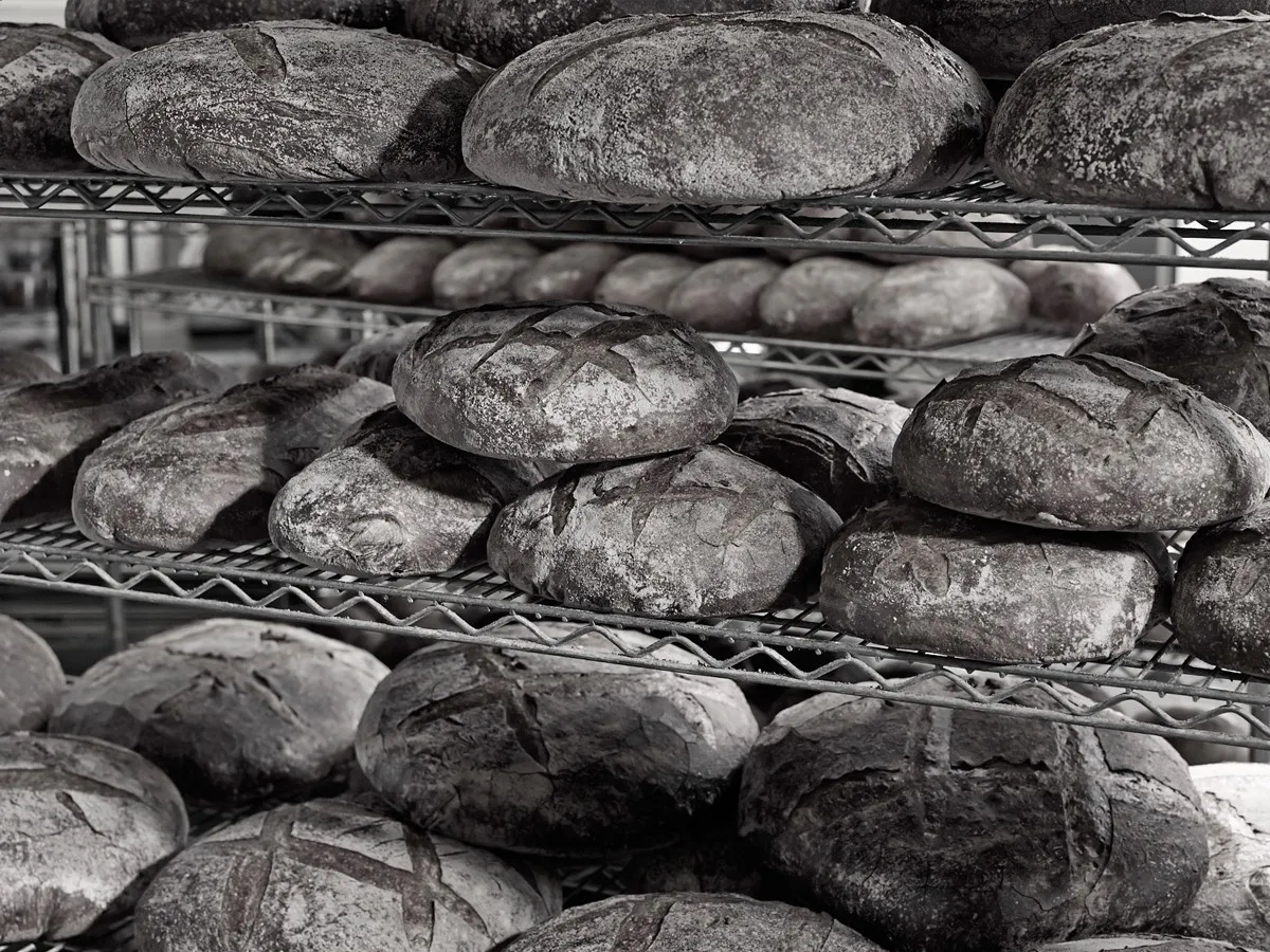 Freshly baked bread sitting on metal racks, ready for packing