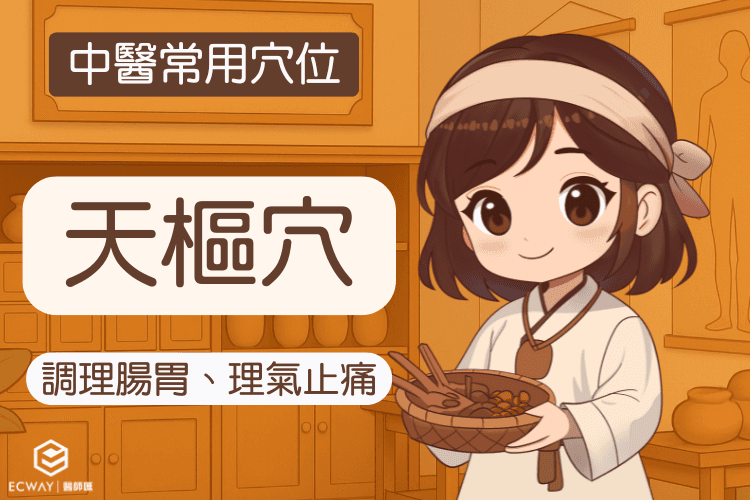 【中醫常用穴位】天樞穴