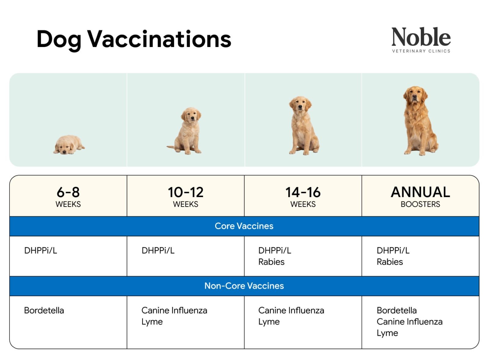 An image displaying the dog vaccination schedule for all life stages.