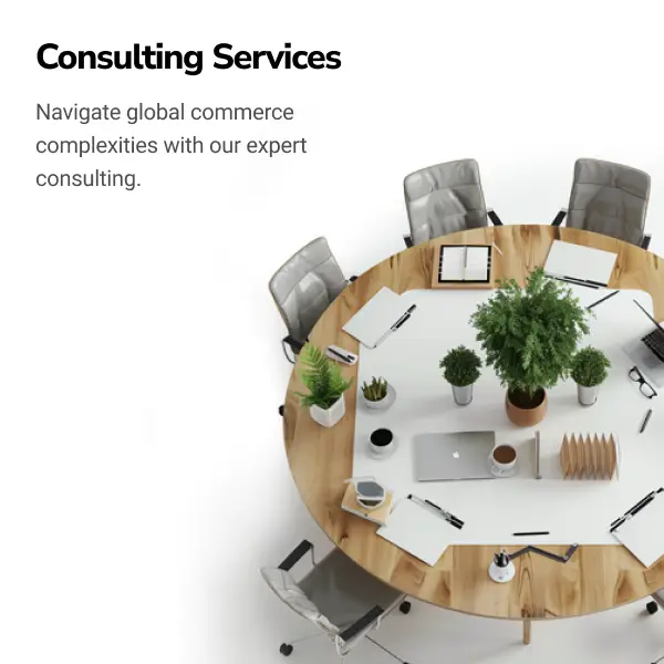 Consulting Services - Navigate global commerce complexities with our expert consulting.