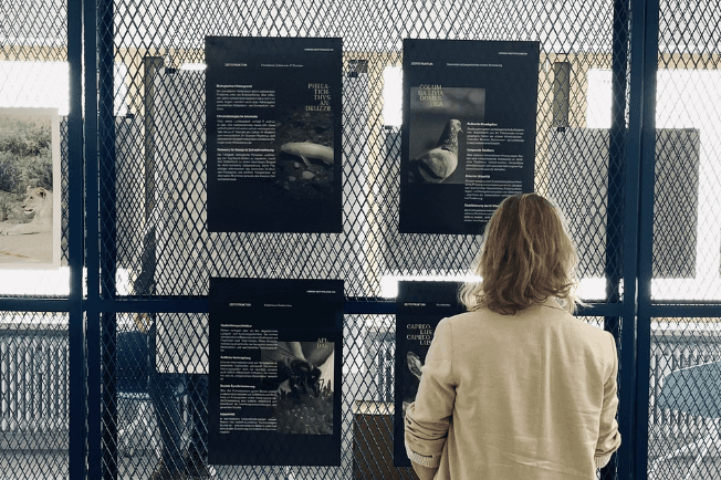 Ausstellung "Temporal Ecospheres" auf der Munich Creative Business Week 2025