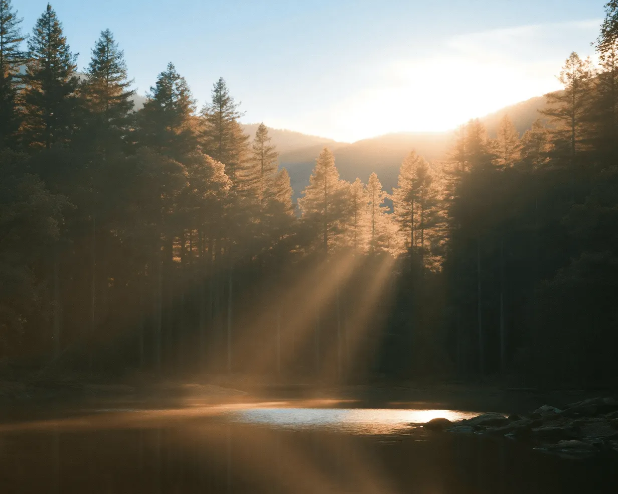 Sunbeams through pine trees over a forest lake