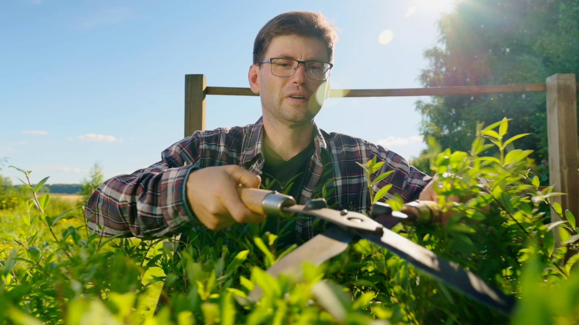 The gardener cuts the grass beautifully