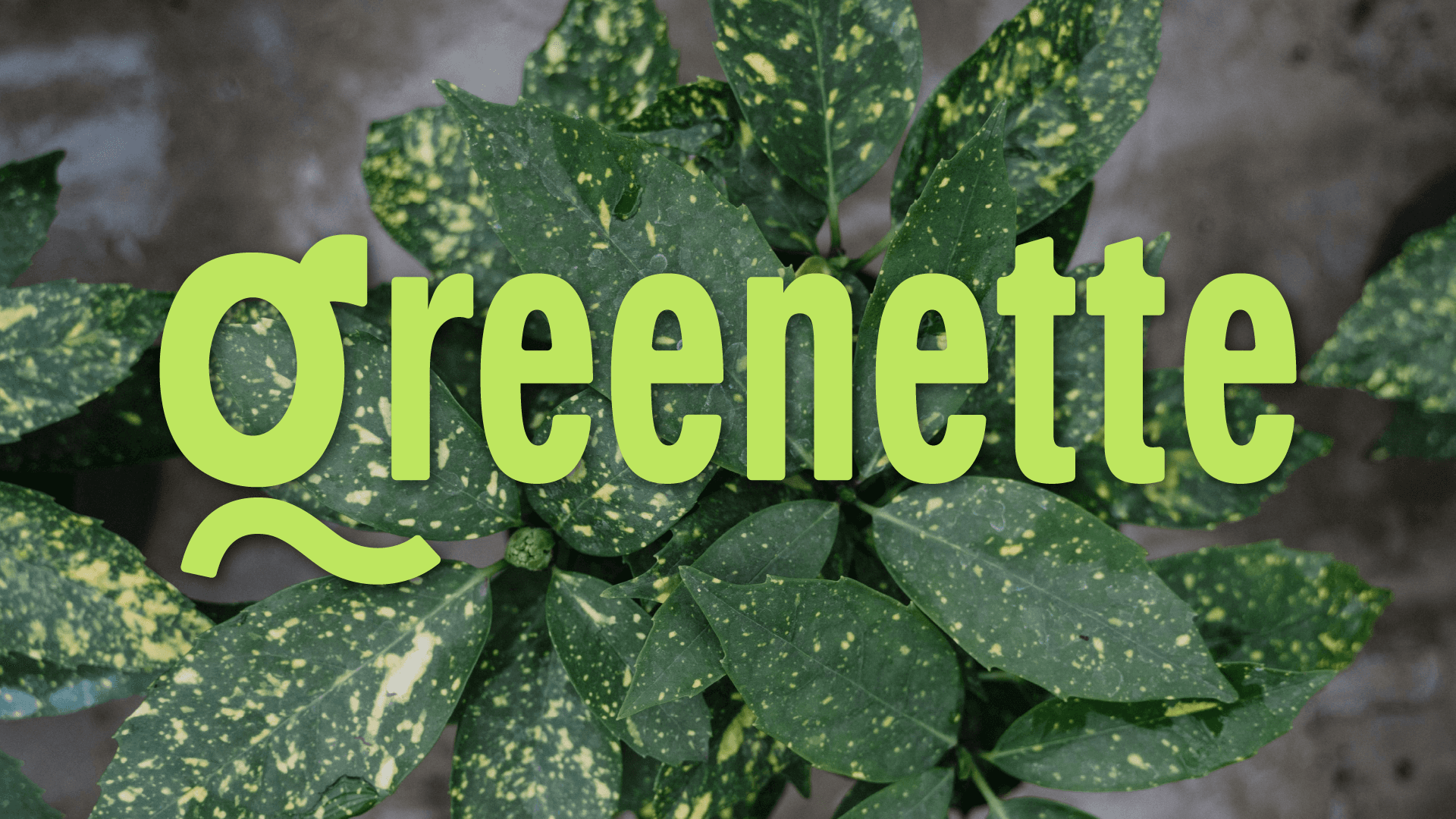 Greenette logo with a plant background.