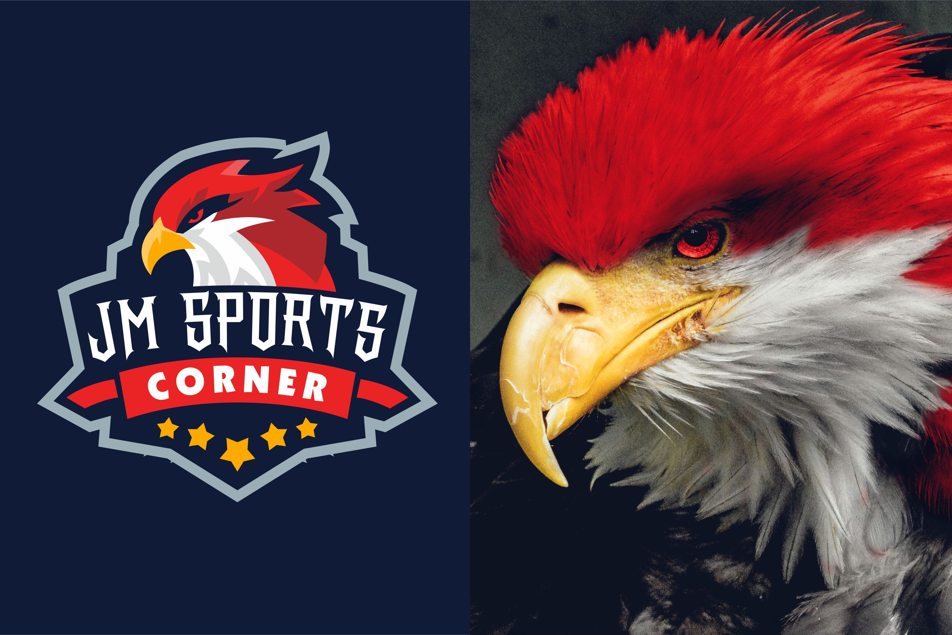 Spirit of the Eagle, imprinted into the Logo which represents the speed, Agile, and Victory.