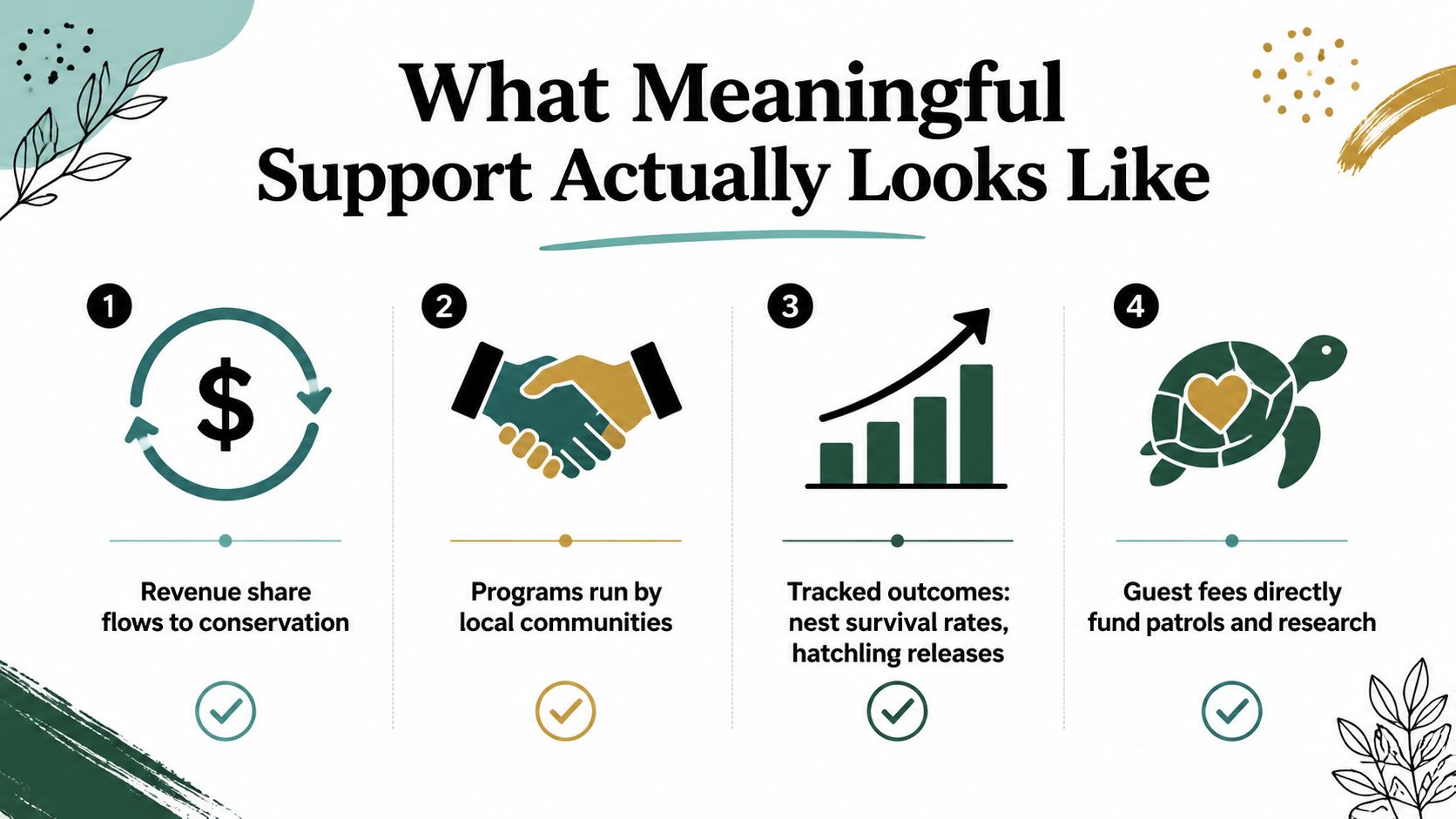An infographic titled What Meaningful Support Actually Looks Like illustrating four steps for ethical turtle conservation.