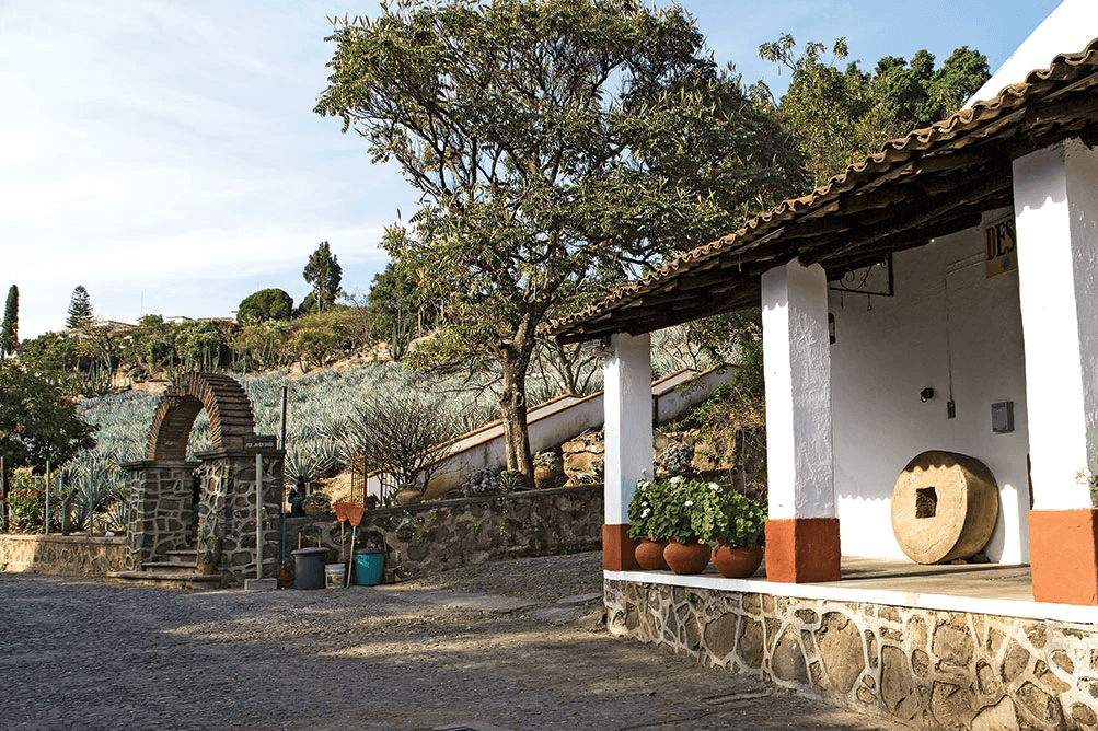 An elegant wedding ceremony setup features a domed gazebo adorned with peach and pink floral arrangements and lush greenery. White chairs line the aisle.
