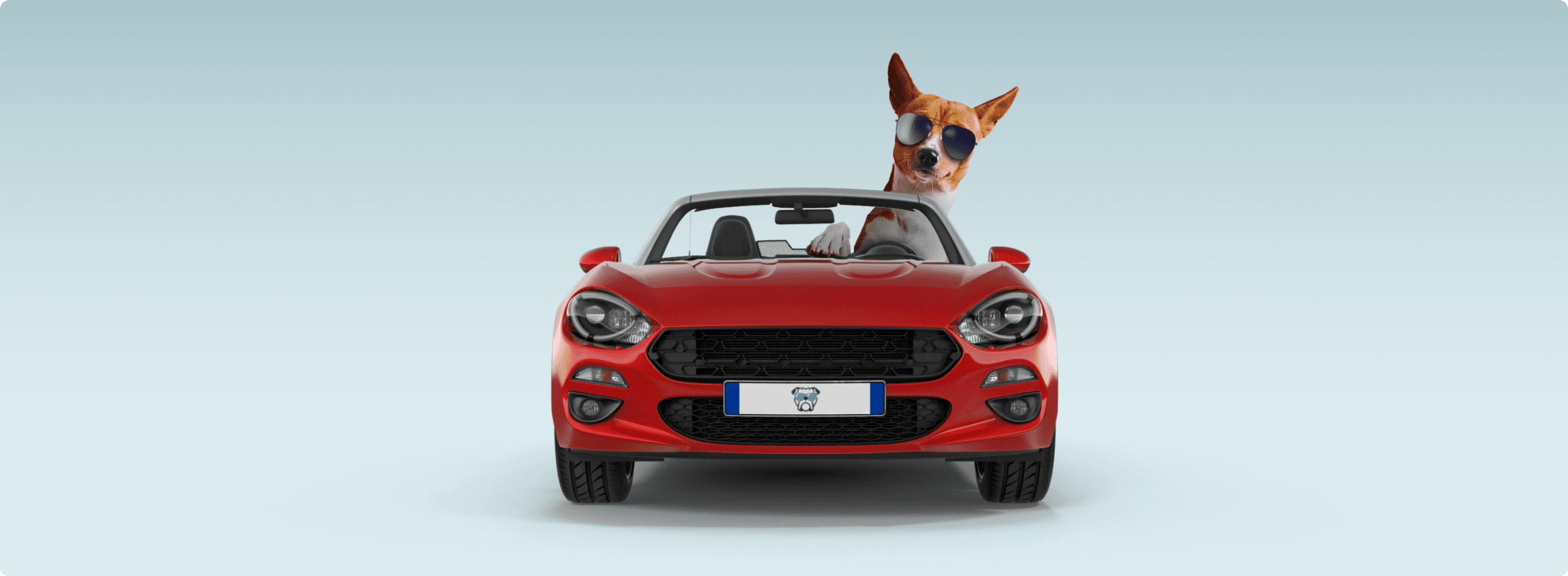 A dog wearing round sunglasses sitting in the driver's seat of a red convertible, shot front-on against a light grey background, with a Cool Dog branded license plate
