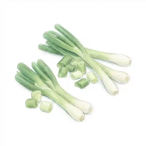 Pho Street Eats illustration of whole spring onions with chopped rounds.