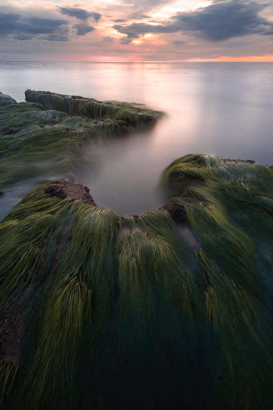 Fine art sea scape on the california coast. Long sea grass apon a setting sky