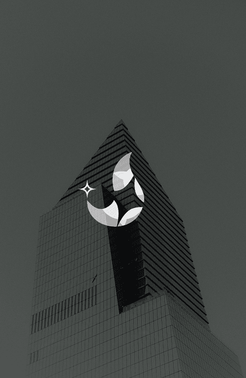 Brand identity design for Stara Ventures investment firm — Penguincil Design