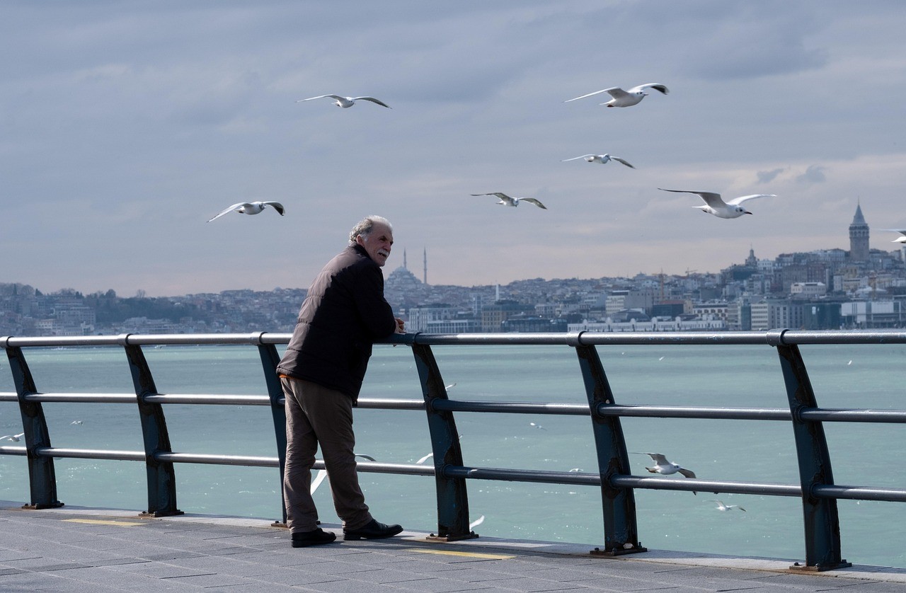 old-man,-sea,-seagulls,-man,-nature,-pier,-boardwalk - sara32_jabar (pixabay)