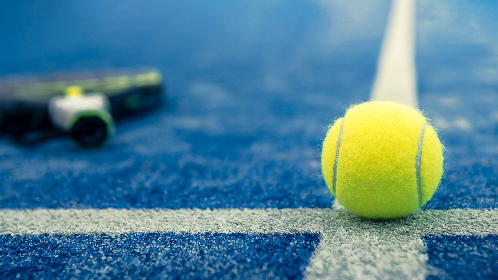 desert with dried out trees