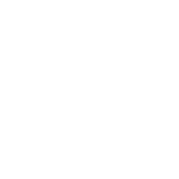 Vector Image