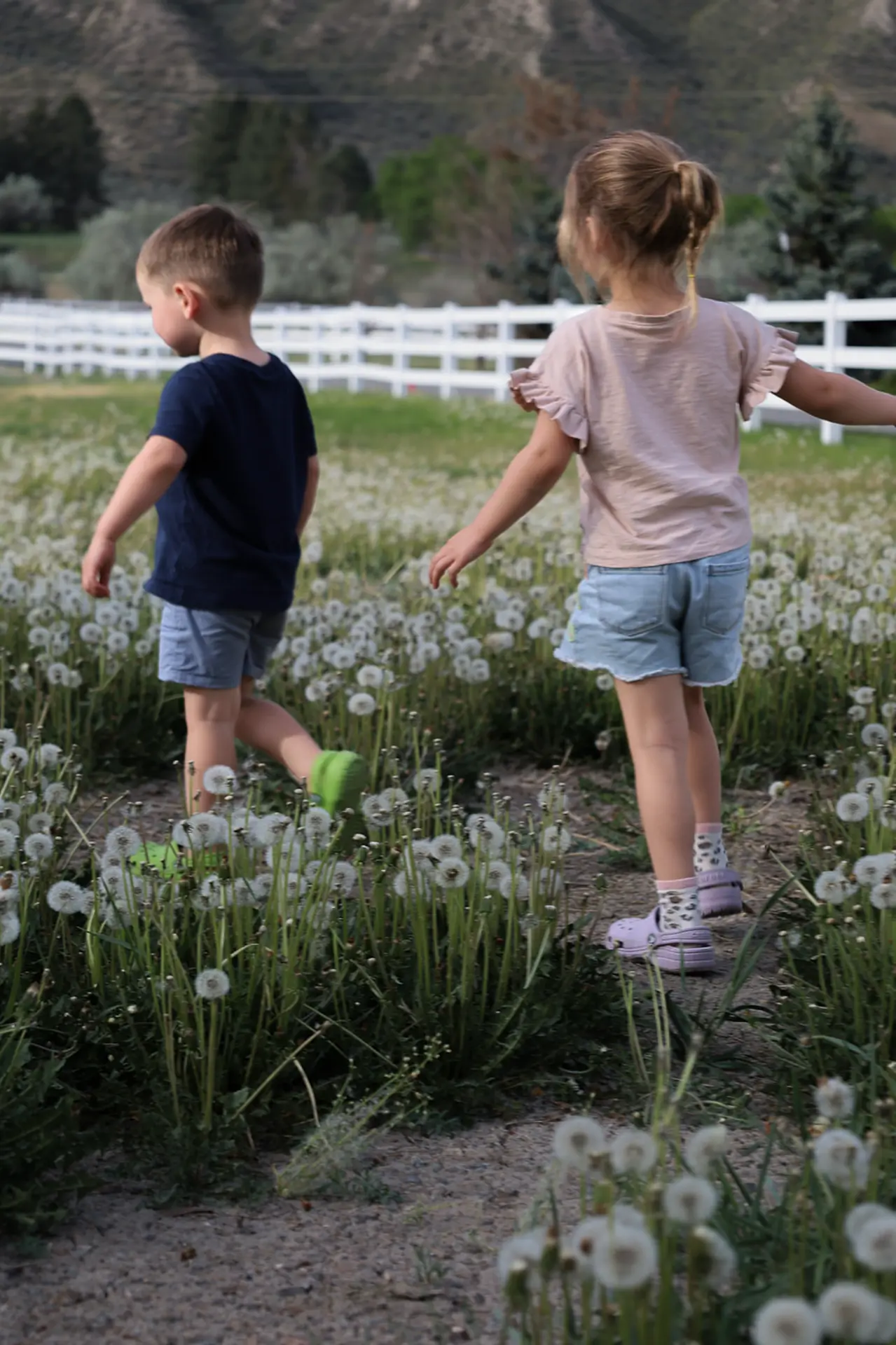 Two children walking through a field of dandelions.