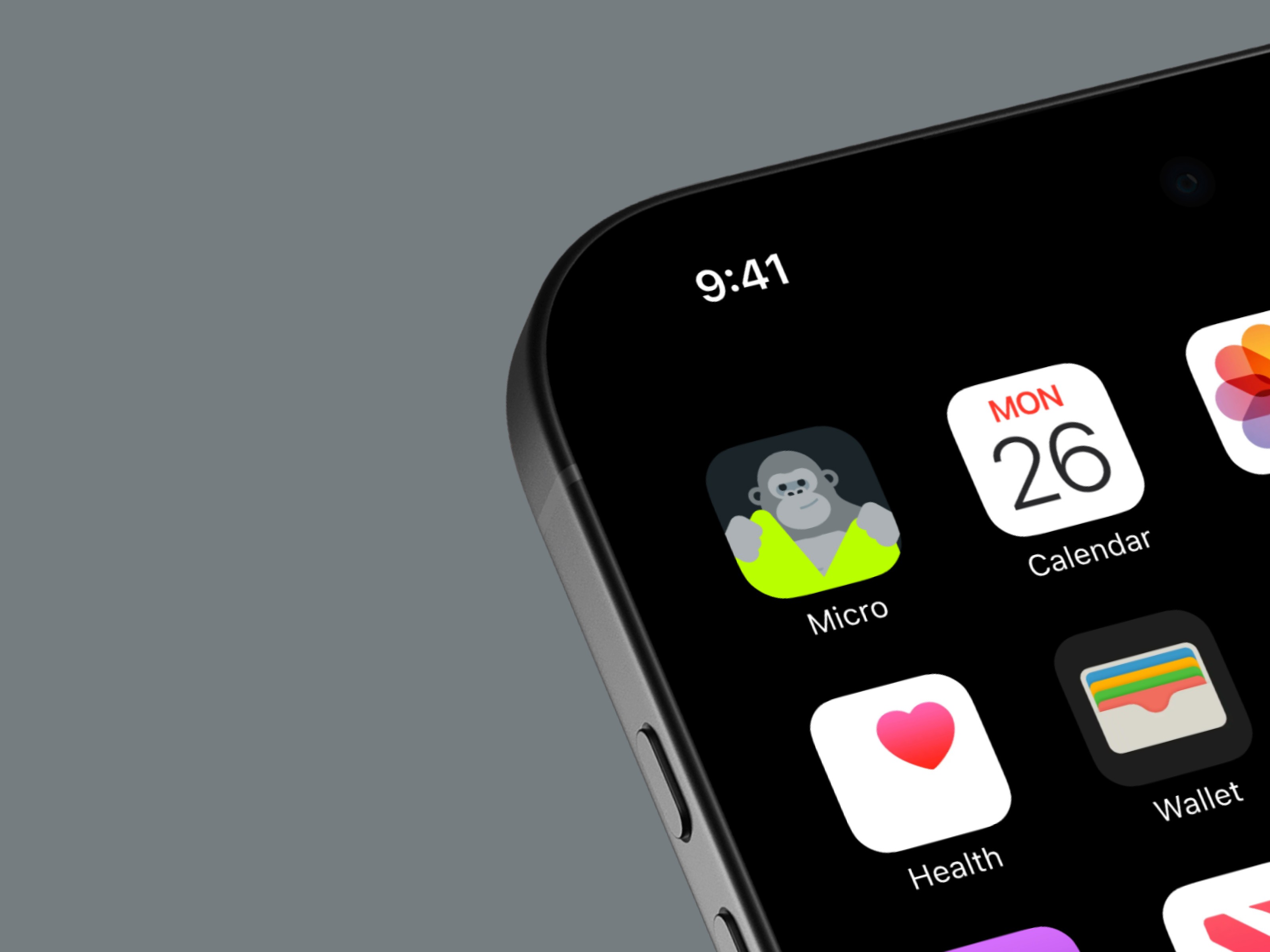 Micro Project Picture