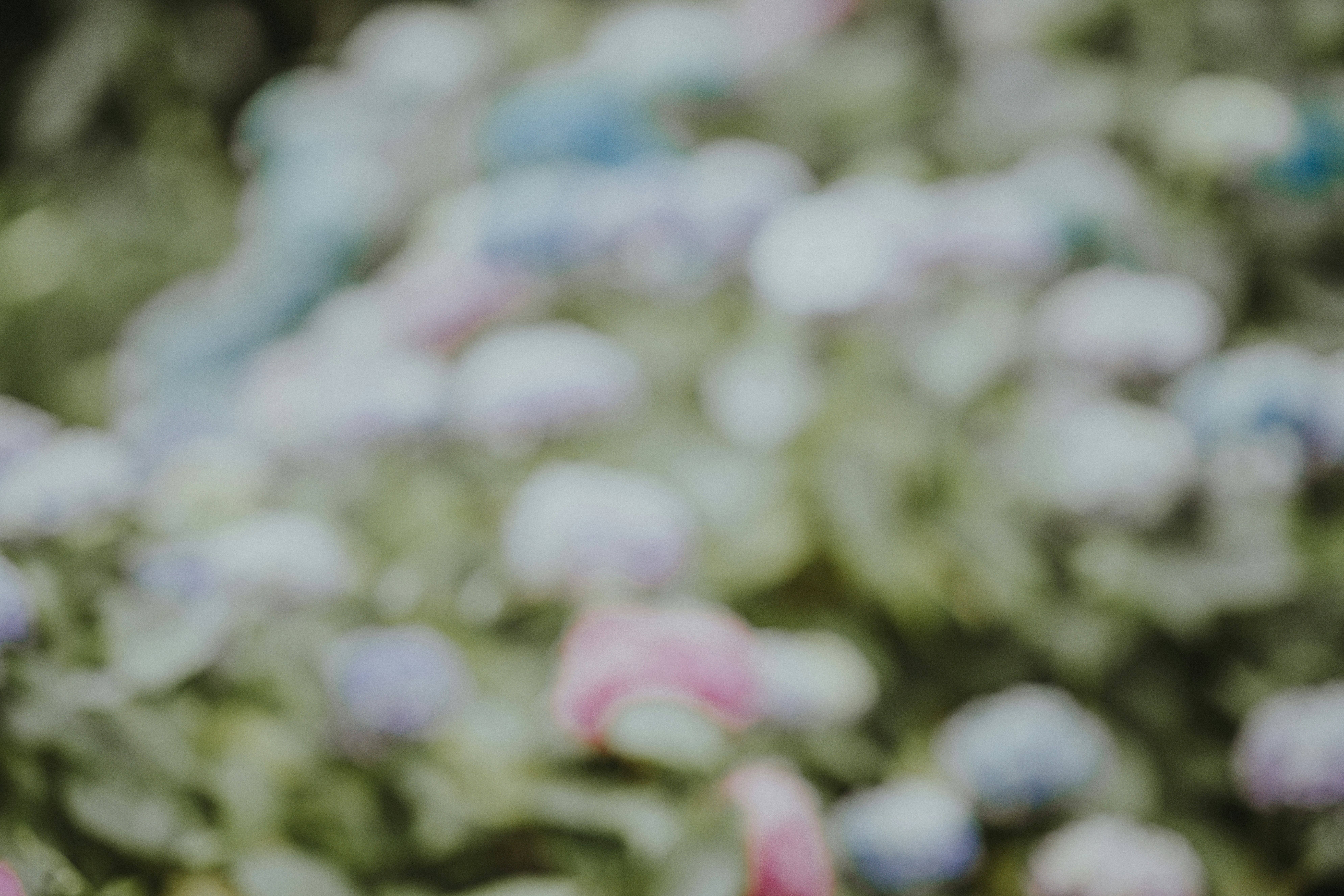 about slider image 4