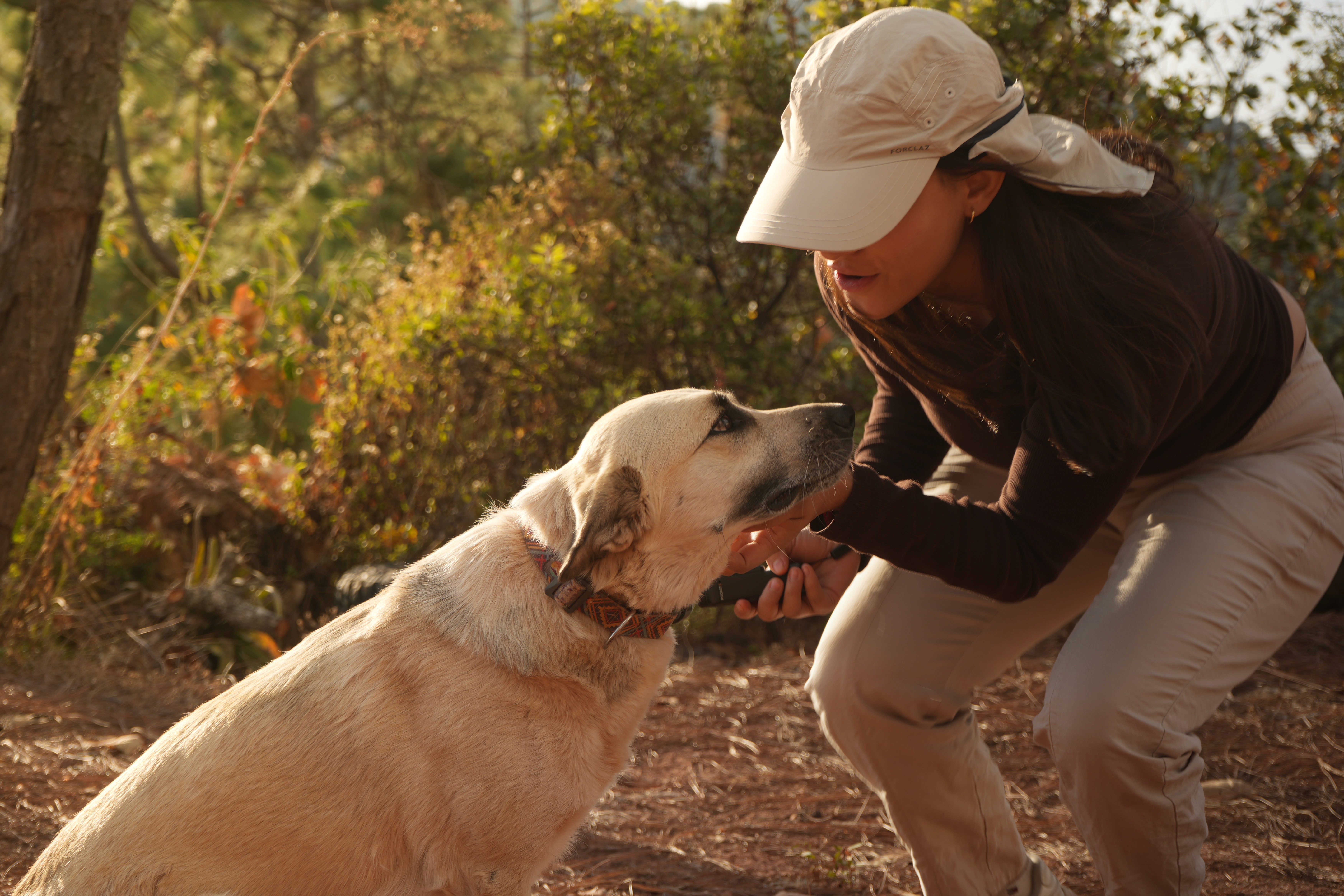 sunlit empty room with wooden floors