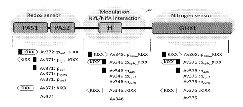 재생농업(바이오, 토양) 특허