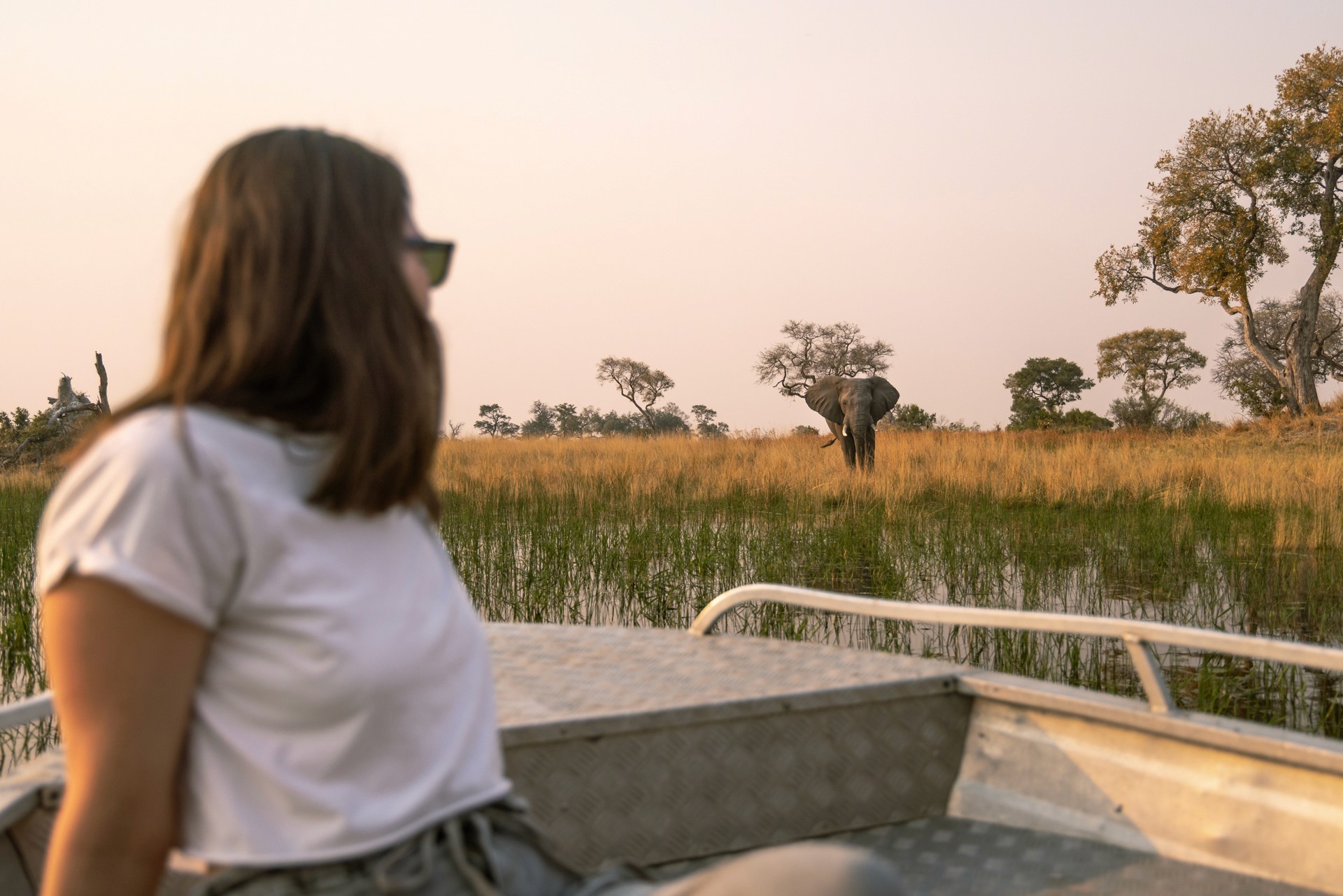 Kujwana Delta Ride, Okavango Delta, Botswana. En kvinna lutar sig bakåt i en båt och blickar bort mot en elefant i bakgrunden.
