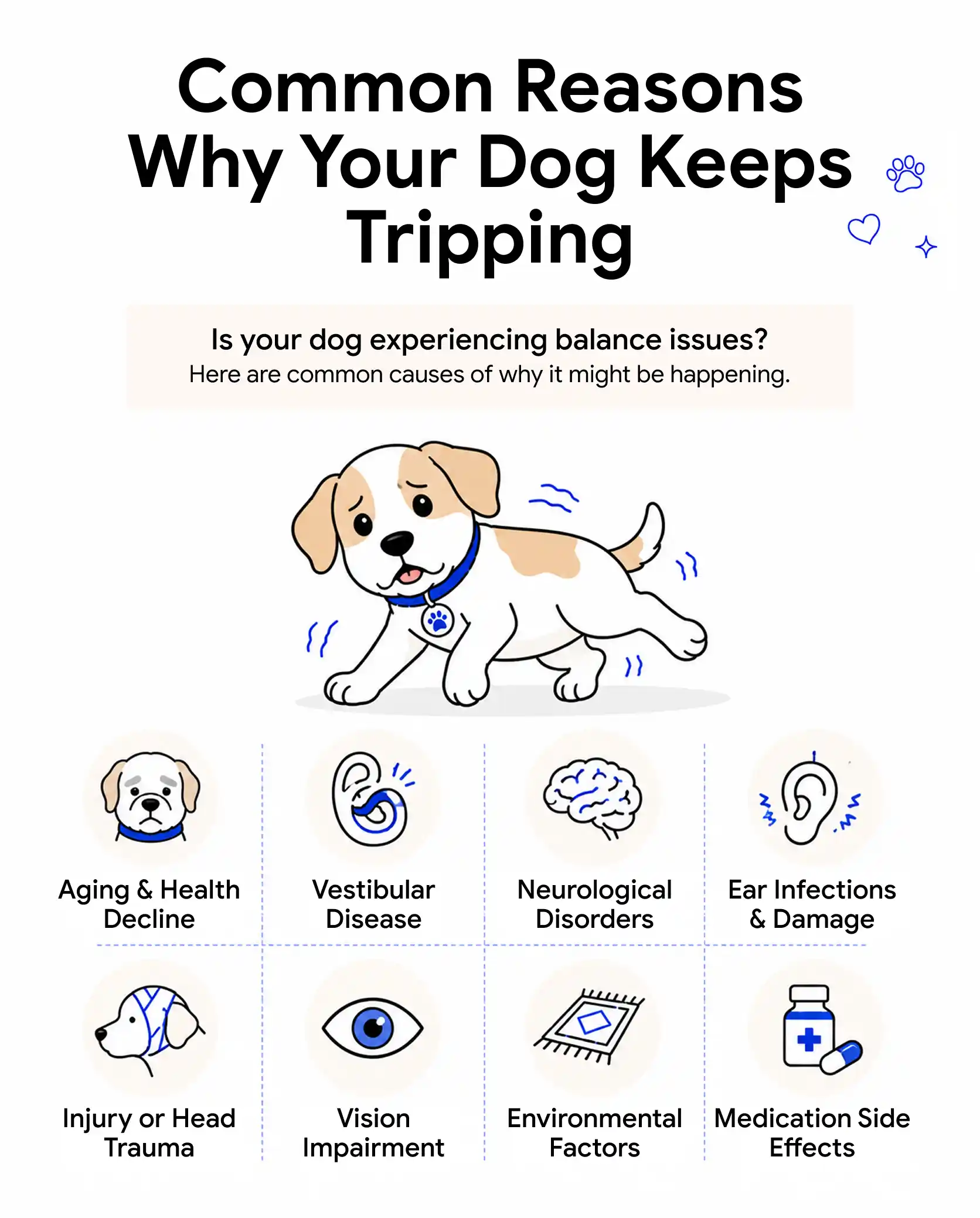 An infographic showing the common reasons why your dog keeps tripping