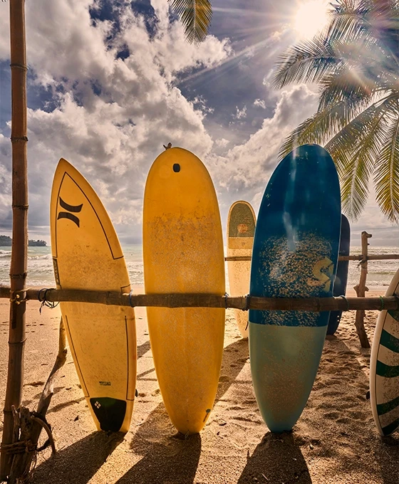 Planches de surf sur la plage