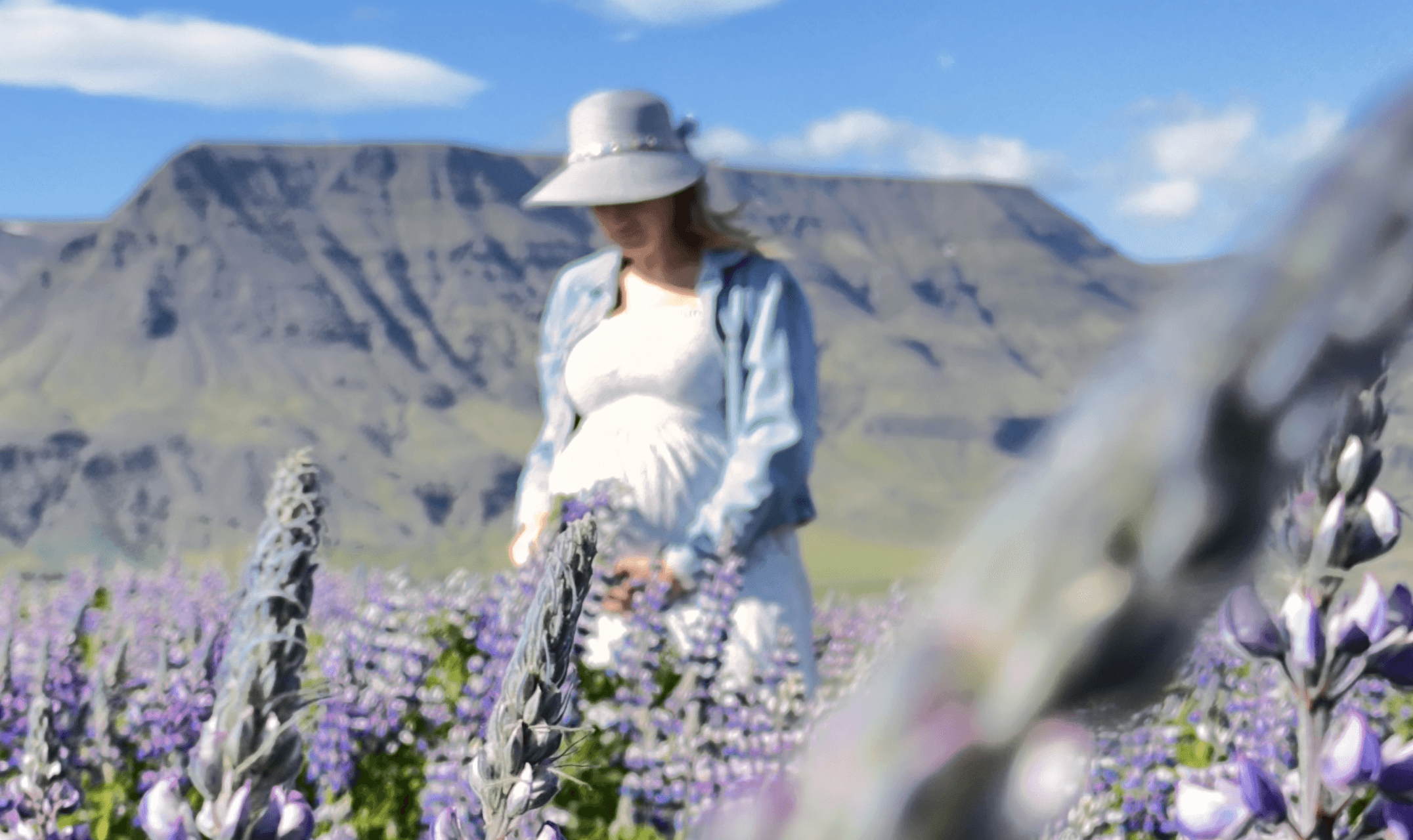 A woman sits among blooming lupines in a mountainous Icelandic valley, wearing a sunhat and light shirt.