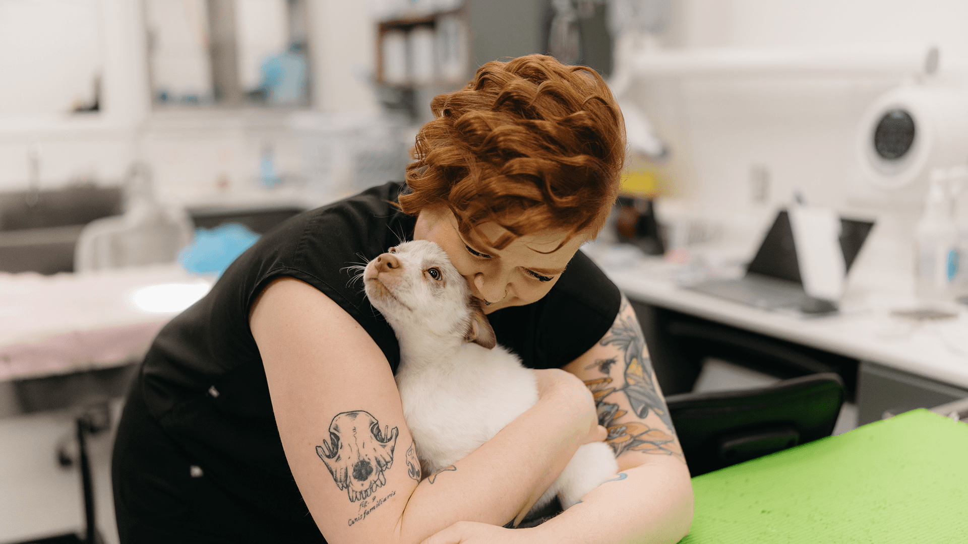 City Park Vet Brand Design with a background of a Vet hugging a puppy