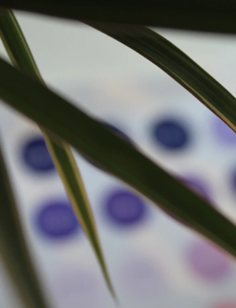 A screenshot from a website header