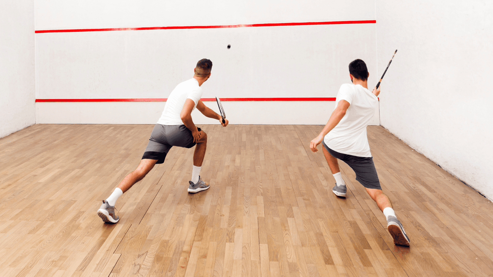 squash club management software
