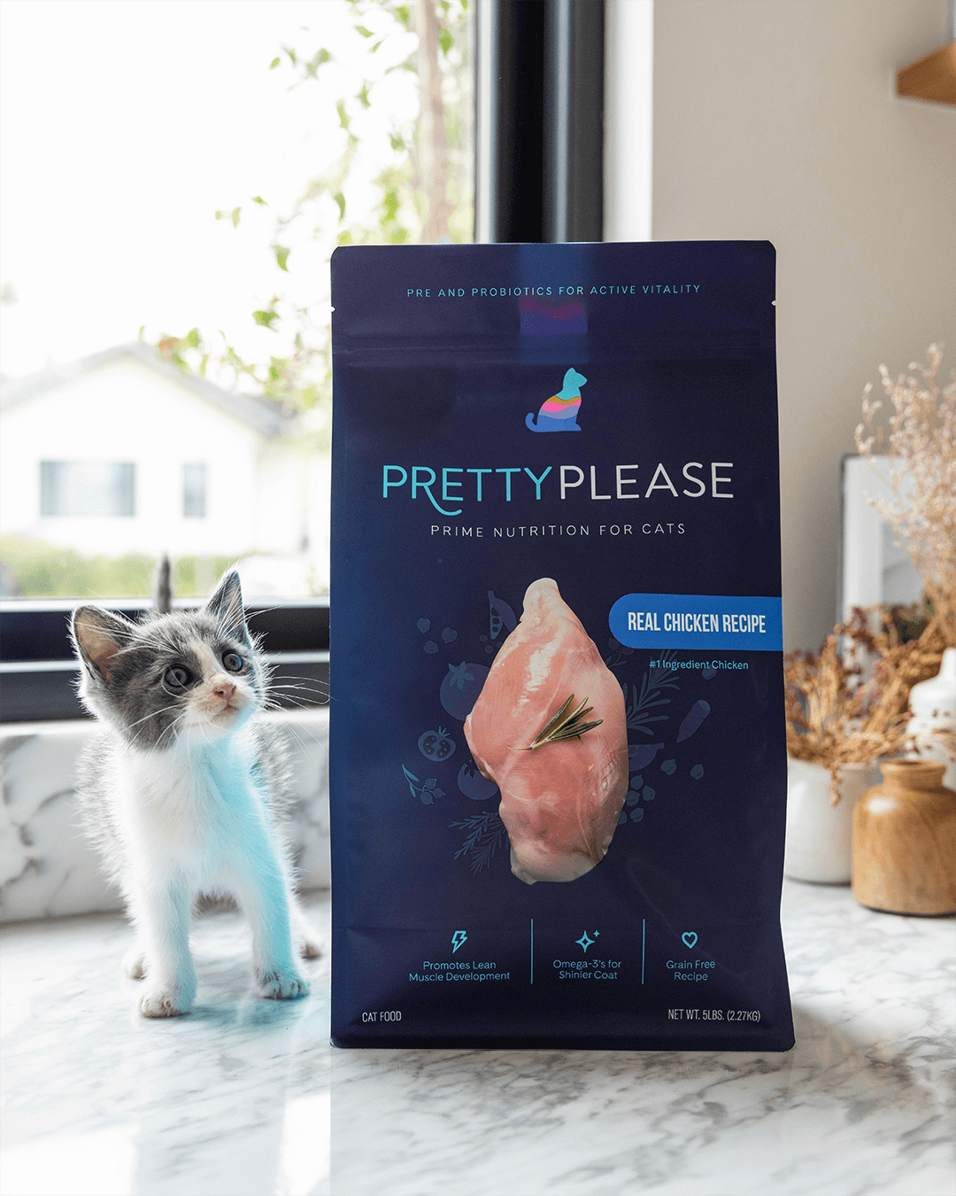 PrettyLitter visual identity applied to PrettyPlease cat food, placed next to a cute kitten