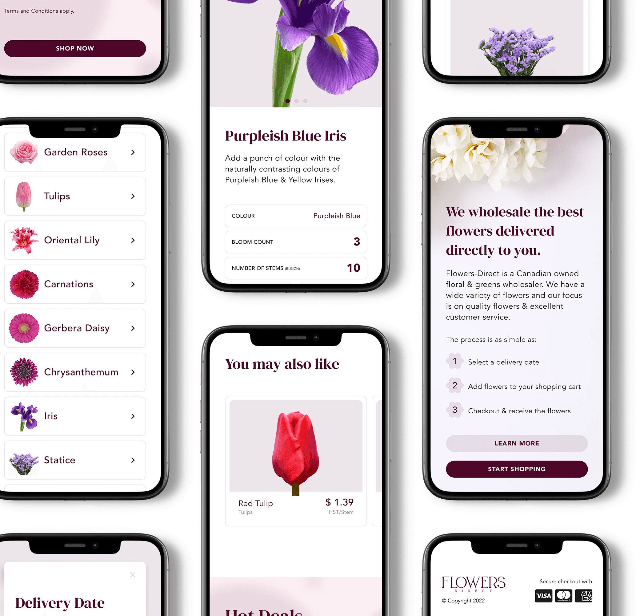 Flowers Direct Projects Wanda Scordo