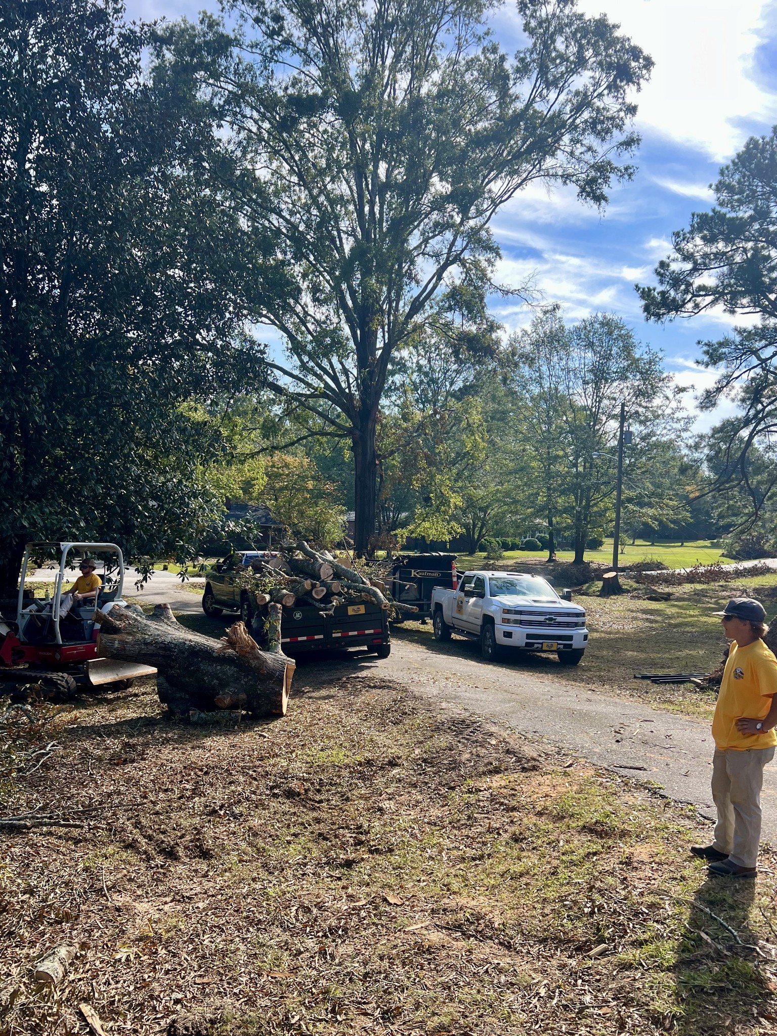 Tree Removal in Spartanburg, SC