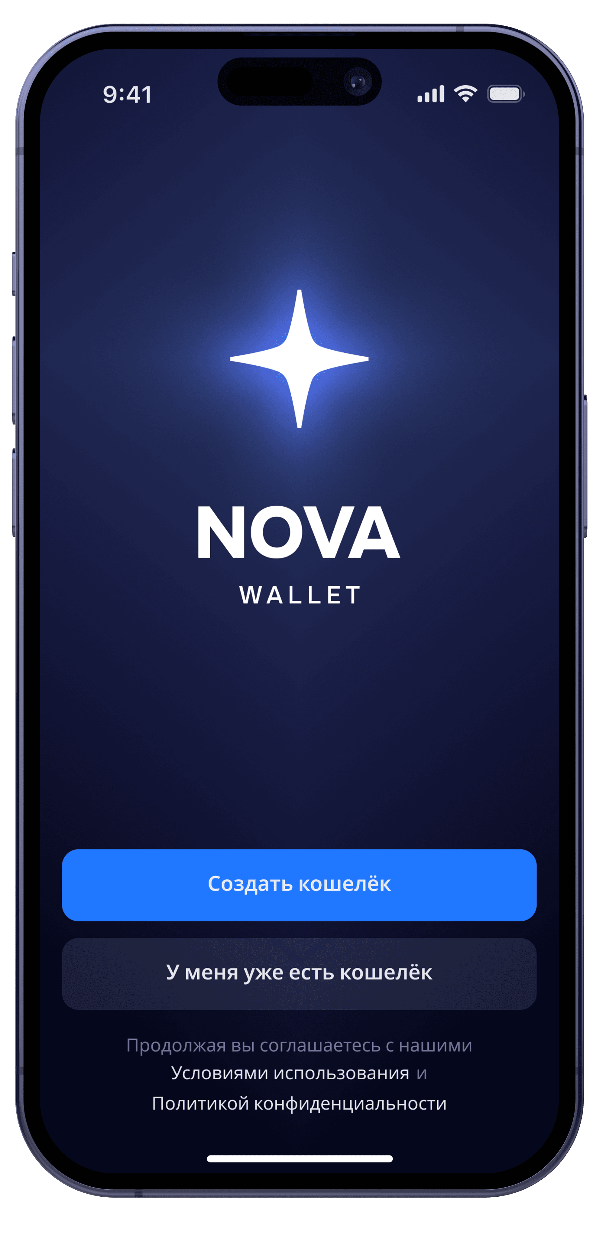Nova Wallet Simple Onboarding Screen
