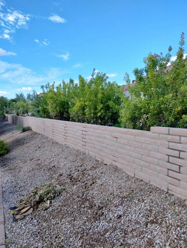 Block wall and desert landscaping in Tucson
