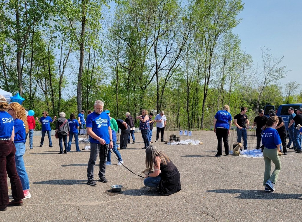 Someone petting dog's chin
