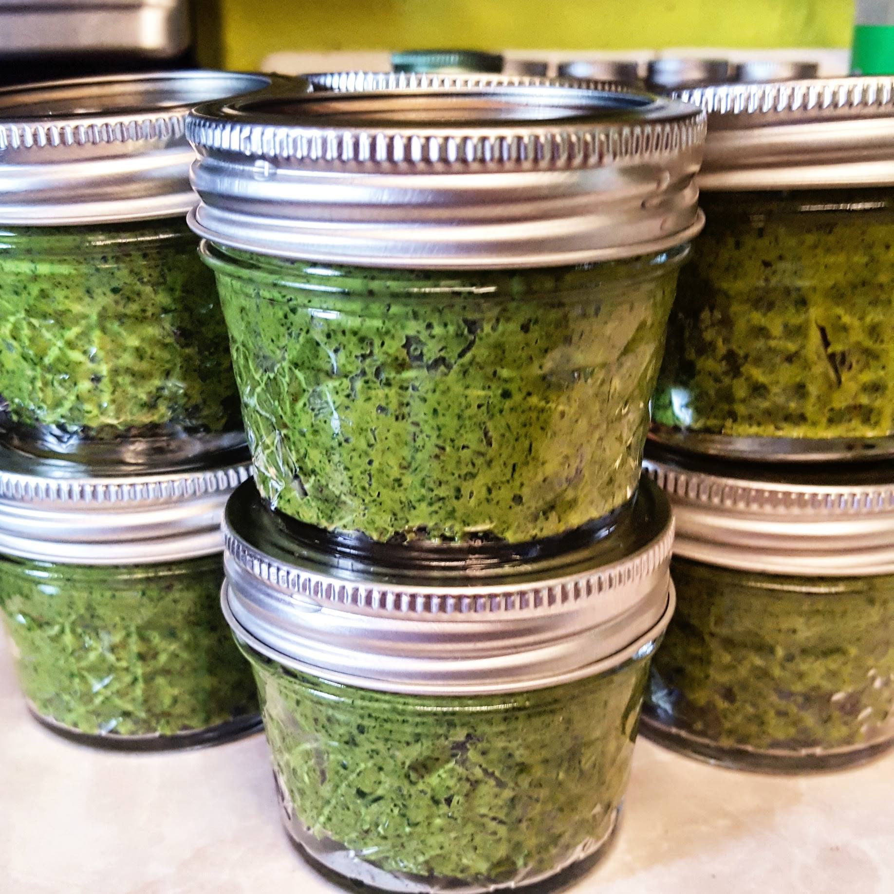 Group of students processing acorns together during a foraging class, representing shared learning and scholarship.