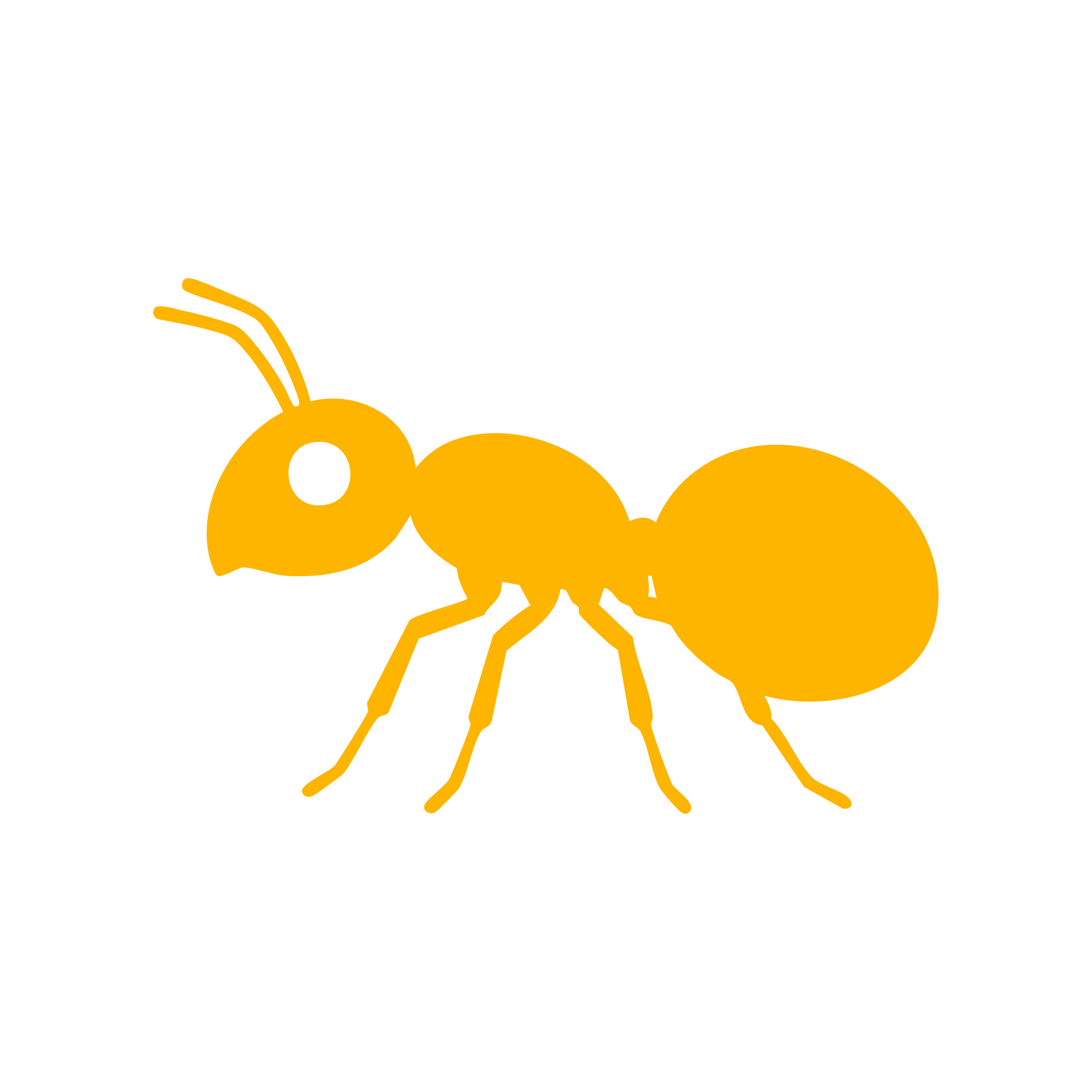 Feature Icon