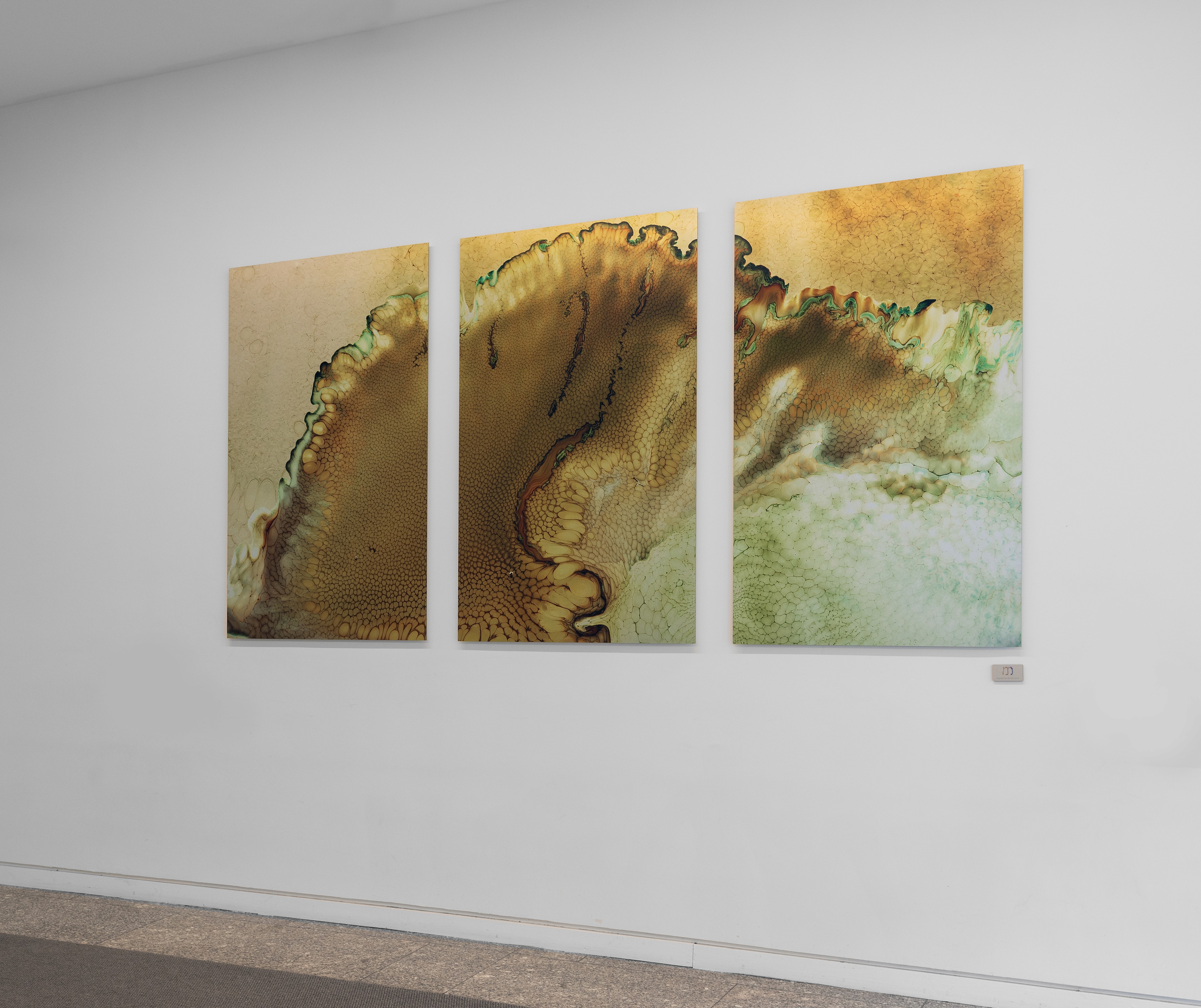 A woman observes framed black-and-white photographs in warm golden light