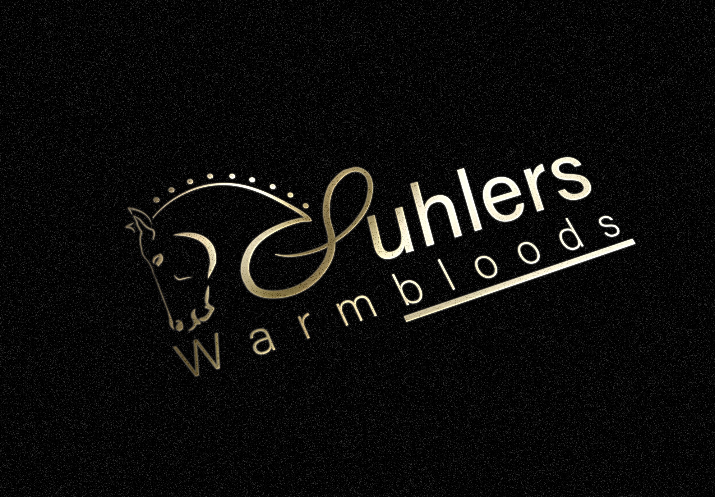 Juhlers Warmbloods logo