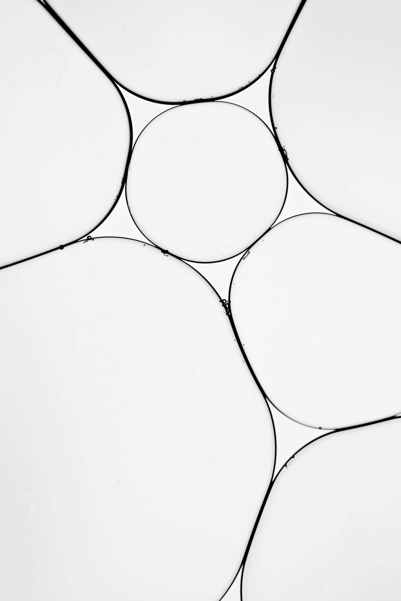 a black and white photo of circles on a wall