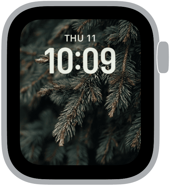 an apple watch face from the evergreen collection
